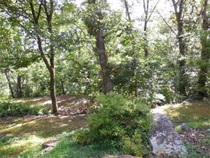 11726 Hulse Rd, West Fork, AR 72774 photo 16