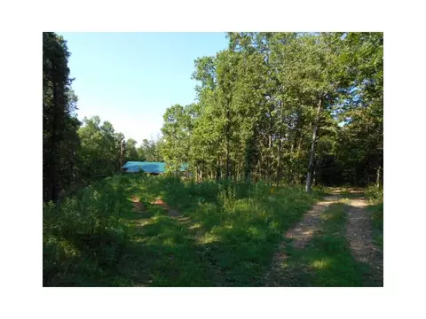1363 Moore Rd, Powell, MO 65730 photo 3