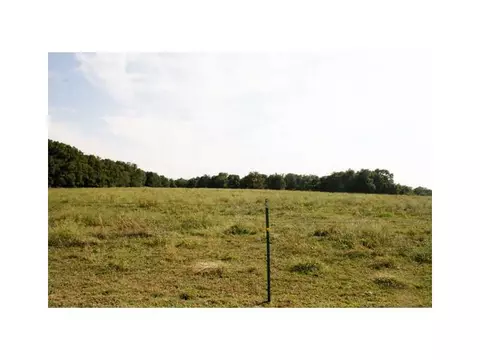 4221 Farm Rd 2145 Rd, Exeter, MO 65647 photo 5