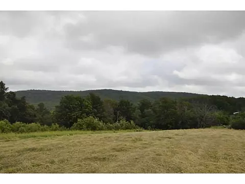 14607 Truelove Rd, West Fork, AR 72774 photo 15