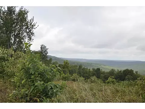 14607 Truelove Rd, West Fork, AR 72774 photo 14