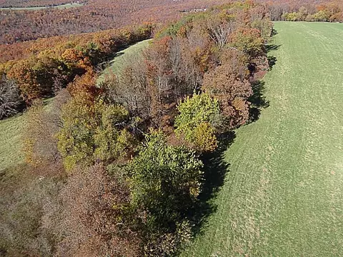 14607 Truelove Rd, West Fork, AR 72774 photo 9