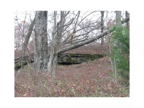 14607 Truelove Rd, West Fork, AR 72774 photo 24