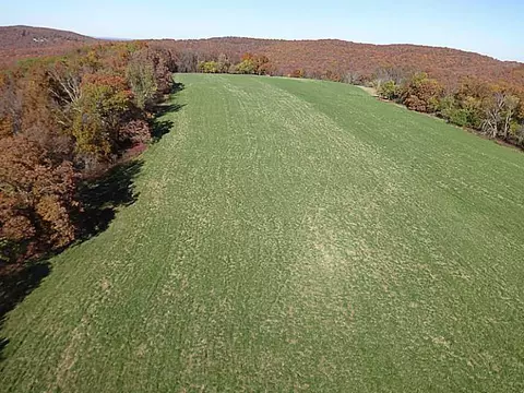 14607 Truelove Rd, West Fork, AR 72774 photo 6