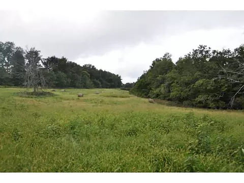 14607 Truelove Rd, West Fork, AR 72774 photo 11