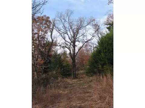 14607 Truelove Rd, West Fork, AR 72774 photo 23