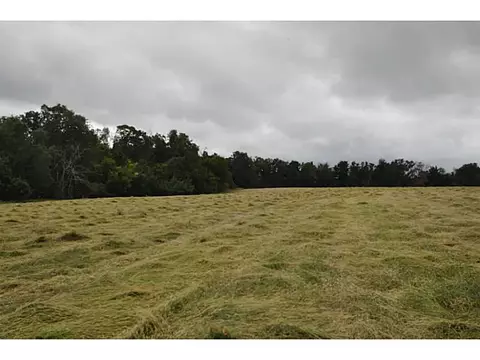 14607 Truelove Rd, West Fork, AR 72774 photo 12