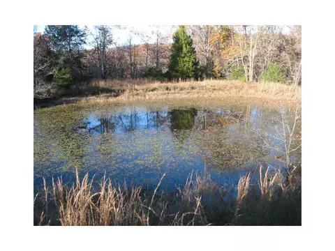 14607 Truelove Rd, West Fork, AR 72774 photo 22