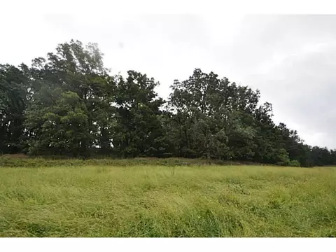 14607 Truelove Rd, West Fork, AR 72774 photo 17