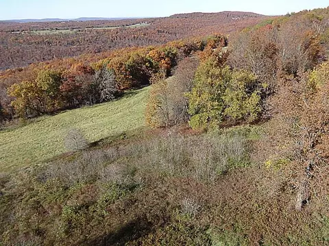 14607 Truelove Rd, West Fork, AR 72774 photo 3