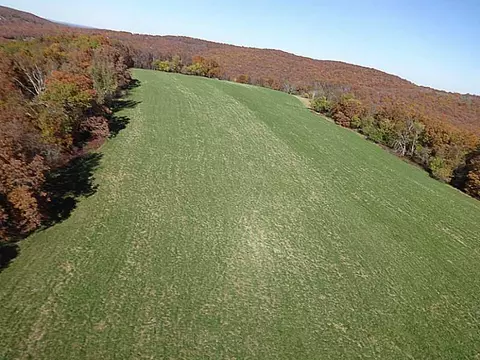 14607 Truelove Rd, West Fork, AR 72774 photo 5