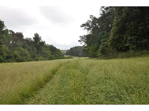 14607 Truelove Rd, West Fork, AR 72774 photo 19