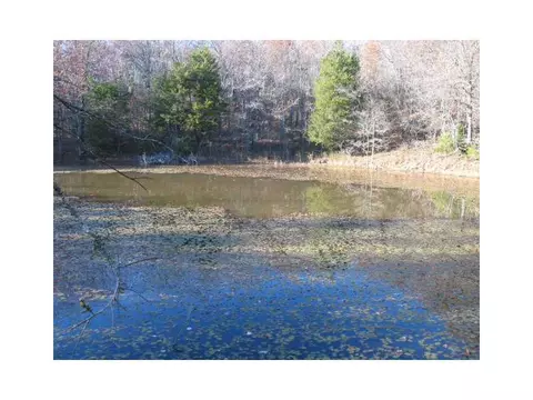 14607 Truelove Rd, West Fork, AR 72774 photo 20