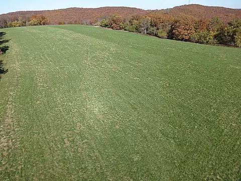 14607 Truelove Rd, West Fork, AR 72774 photo 10