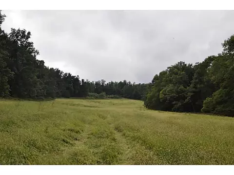 14607 Truelove Rd, West Fork, AR 72774 photo 16
