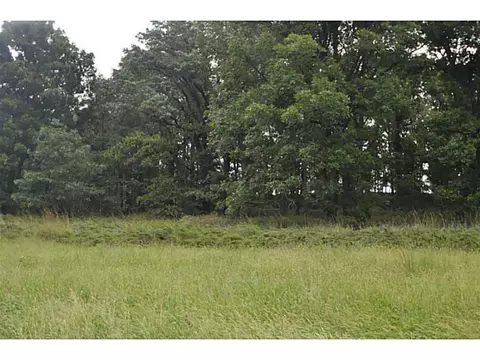 14607 Truelove Rd, West Fork, AR 72774 photo 18