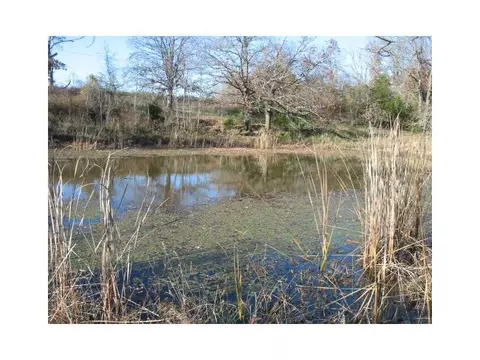 14607 Truelove Rd, West Fork, AR 72774 photo 21