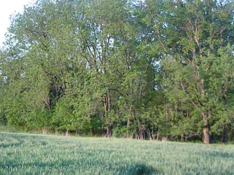 20 Highway Hwy, Jay, OK 74346 photo 12