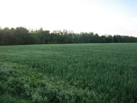 20 Highway Hwy, Jay, OK 74346 photo 6