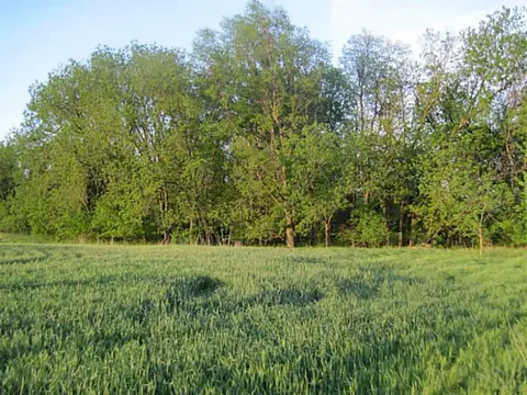 20 Highway Hwy, Jay, OK 74346 photo 10