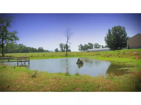 336 Madison 6290 Rd, Wesley, AR 72773 photo 20