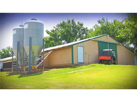 336 Madison 6290 Rd, Wesley, AR 72773 photo 3