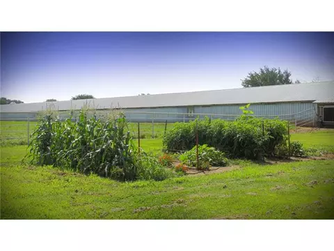 336 Madison 6290 Rd, Wesley, AR 72773 photo 19