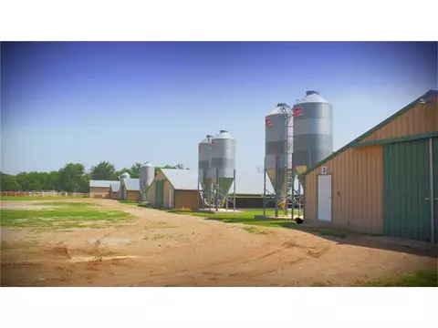 336 Madison 6290 Rd, Wesley, AR 72773 photo 1