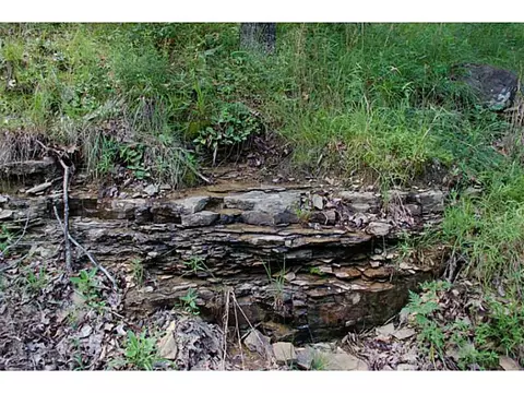 302 Madison 5454, Combs, AR 72721 photo 24