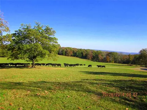 20880 Strickler Rd, West Fork, AR 72774 photo 15