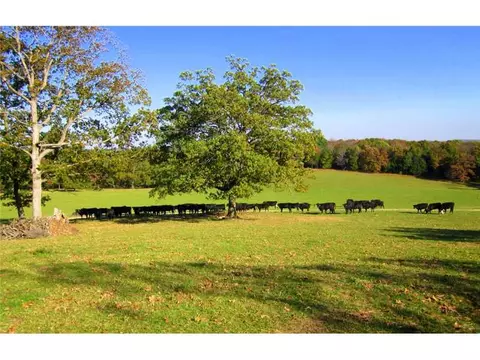 20880 Strickler Rd, West Fork, AR 72774 photo 16