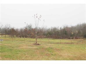 655 Madison 7875, Wesley, AR 72773 photo 12