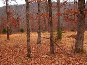 15503 Low Gap Rd, West Fork, AR 72774 photo 15