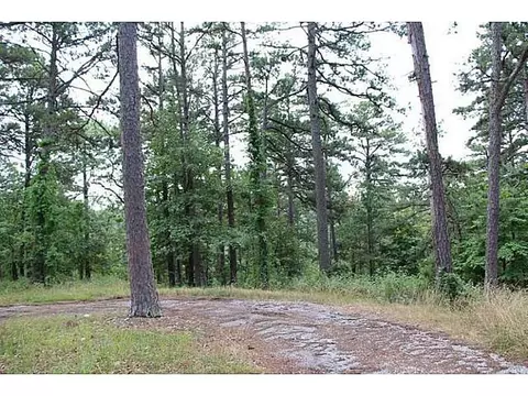 lot Pine Trail Rd, Rogers, AR 72756 photo 2