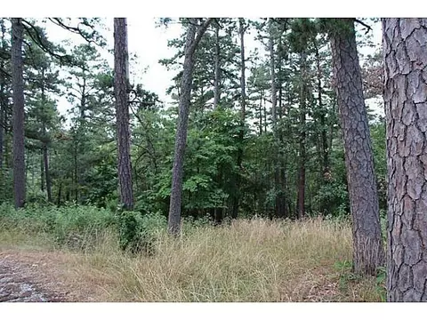 lot Pine Trail Rd, Rogers, AR 72756 photo 3