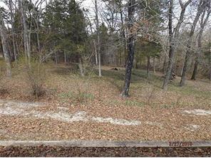 116 Ironwood Rd, Shell Knob, MO 65747 photo 21
