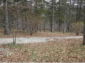 116 Ironwood Rd, Shell Knob, MO 65747 photo 24