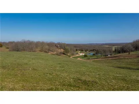 712 Treadwell Rd, Seligman, MO 65745 photo 21