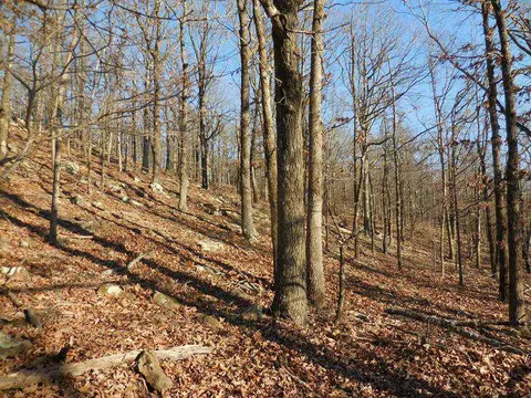 15110 Low Gap Rd, West Fork, AR 72774 photo 9