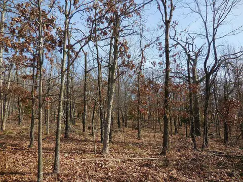 15110 Low Gap Rd, West Fork, AR 72774 photo 2