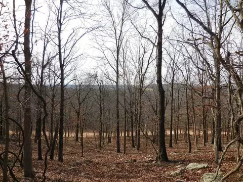 15110 Low Gap Rd, West Fork, AR 72774 photo 1