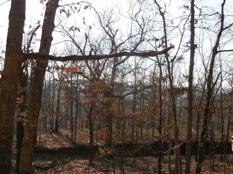 15110 Low Gap Rd, West Fork, AR 72774 photo 4