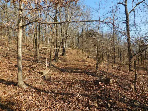 15110 Low Gap Rd, West Fork, AR 72774 photo 5