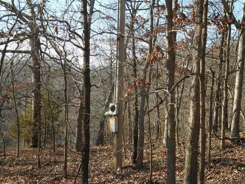 15110 Low Gap Rd, West Fork, AR 72774 photo 8
