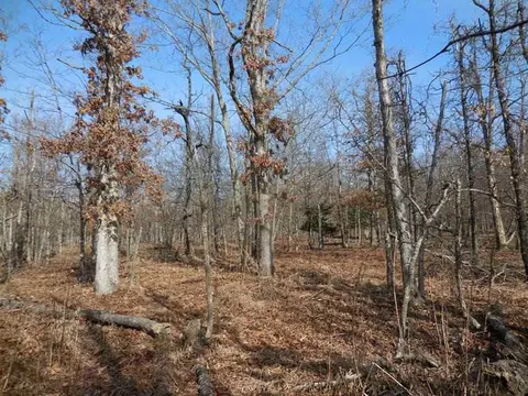 15110 Low Gap Rd, West Fork, AR 72774 photo 3