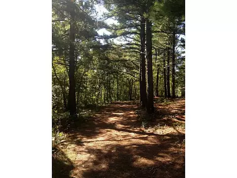 56451 E 355 Rd, Jay, OK 74346 photo 6