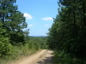 Undisclosed, Dover, AR 72837 photo 12