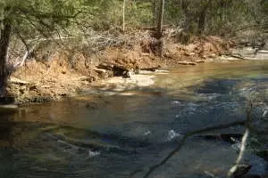 Undisclosed, Hector, AR 72843 photo 34