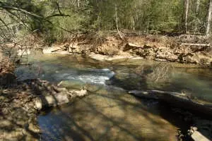 Undisclosed, Hector, AR 72843 photo 33
