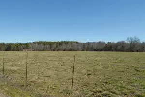Undisclosed, Hector, AR 72843 photo 29